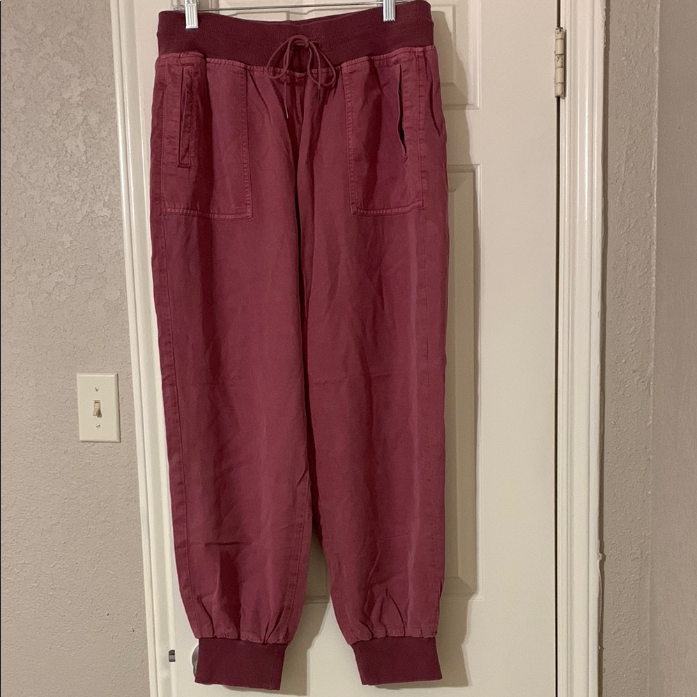 American Eagle Outfitters Maroon Ankle Pants